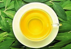 Белый чай влияет на процесс образования жировой ткани