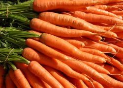 Варите морковку целиком - и будьте здоровы