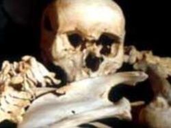 Найден череп древнейшего предка человека