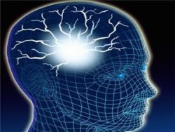 Интеллект зависит от способности мозга интегрировать