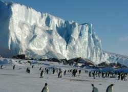 В Антарктике зафиксировано снижение температуры