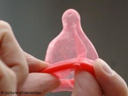 Презерватив из одуванчика – гордость немецких ученых